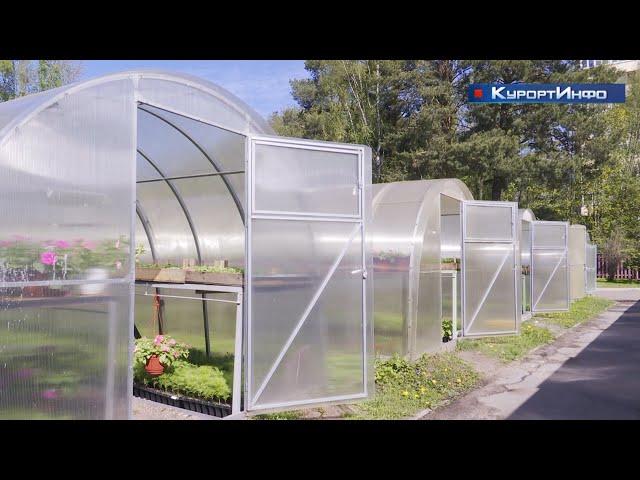 Сотрудники АО «Озеленитель» с июня приступают к высаживанию цветов в Курортном районе