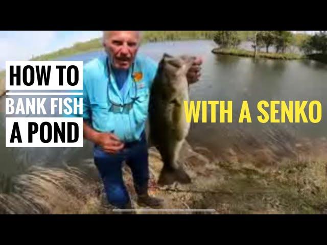 How to bank fish a pond with a Senko