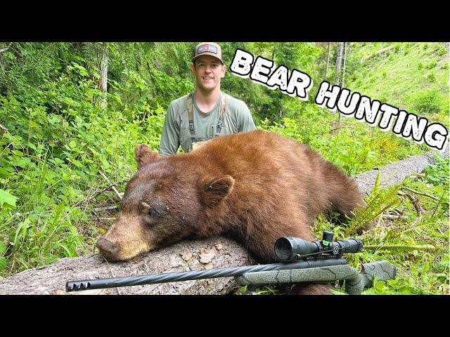 Oregon Spring Bear Hunting - Southbound & Down