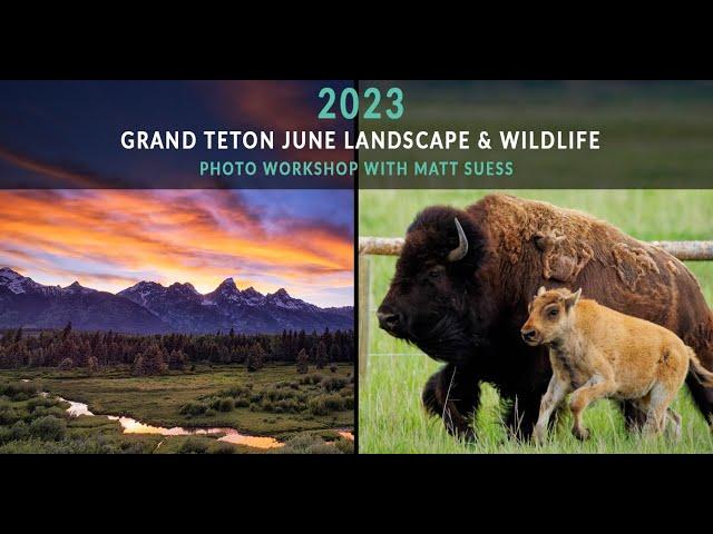 2023 Grand Teton June Landscape & Wildlife Photo Workshop with Matt Suess