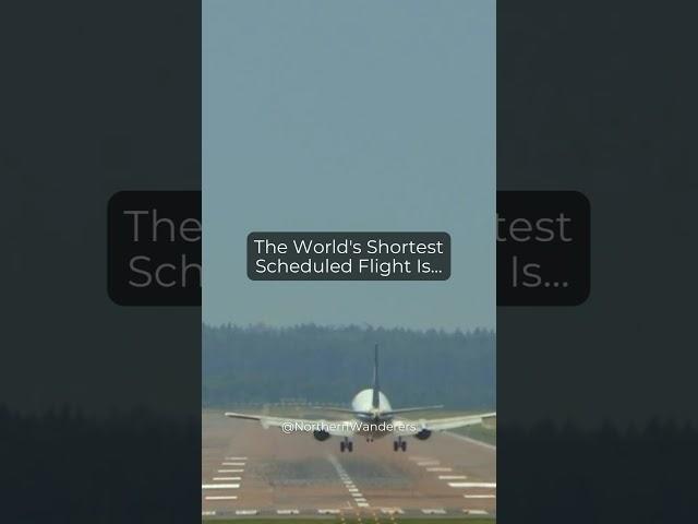 The world’s shortest flight is… #shortsclip #shorts #travel #facts