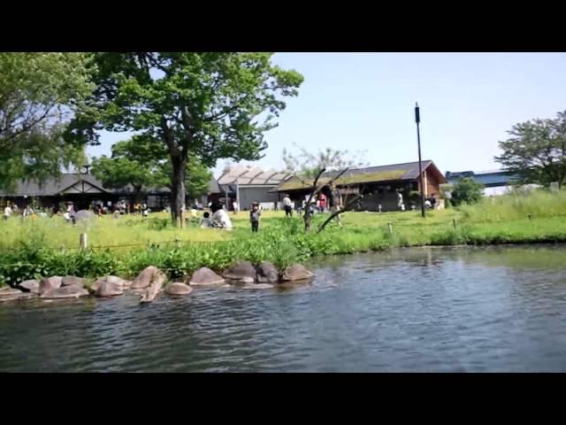 河川環境楽園「木舟遊覧」