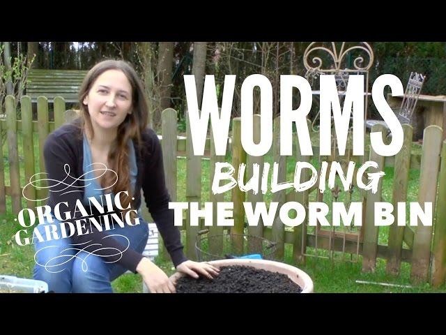 Starting a Worm Bin on How to Grow a Garden with Scarlett