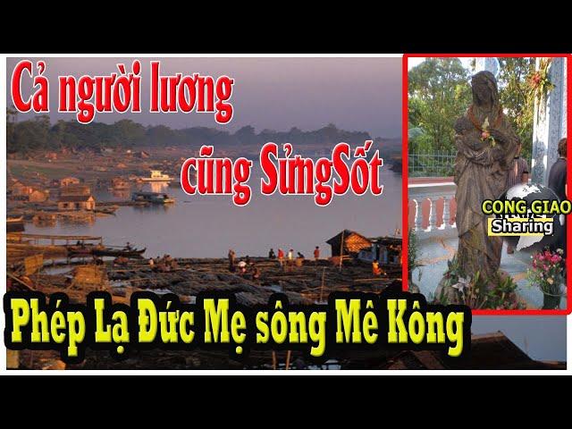 Cả người lương cũng SửngSốt Phép Lạ Đức Mẹ sông Mê Kông