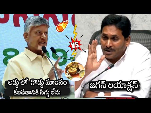 CM Chandrababu Vs YS Jagan: YS Jagan Reaction On Tirumala Laddu Issue | Daily Culture