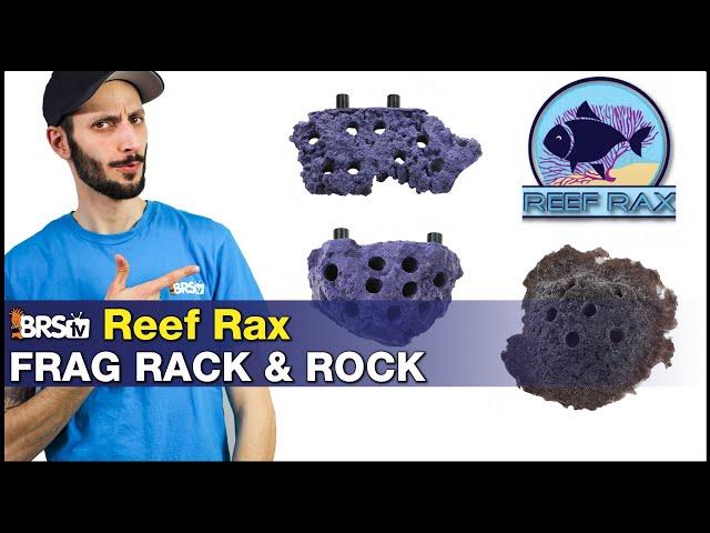 Reef Rax Coral Frag Racks: Display your coral frags inside your reef. No frag tank needed!