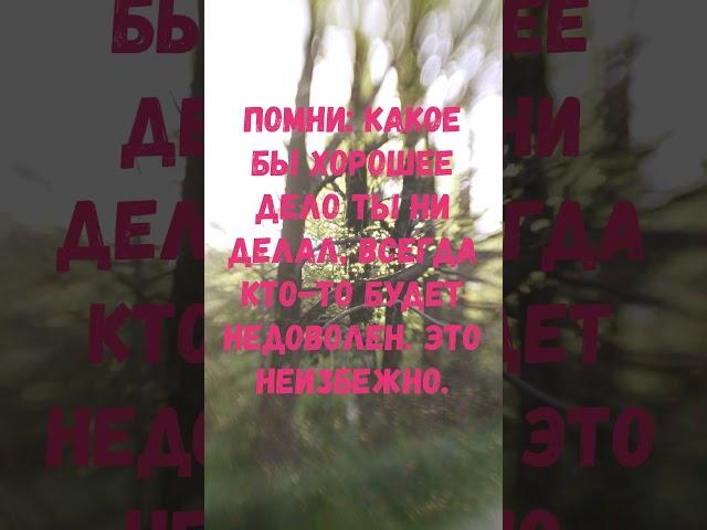 Помни, всегда кто-то будет не доволен - Мудрость #мудрость #всегдактотобудетнедоволен #цитаты