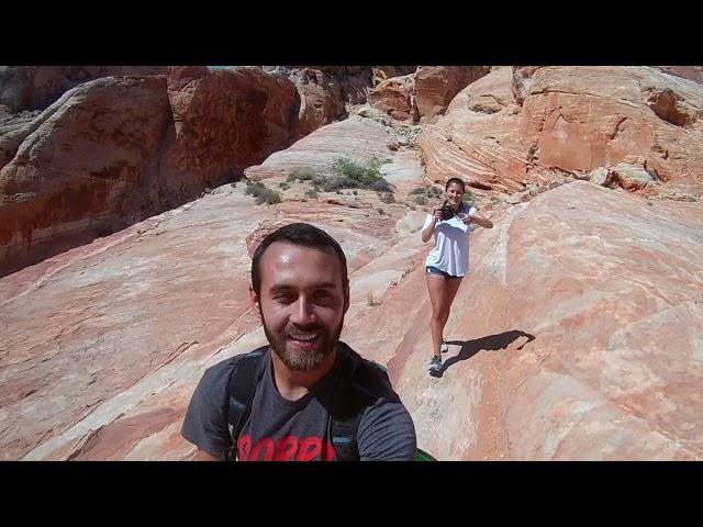 Valley of Fire | A Fun Trail for Dogs