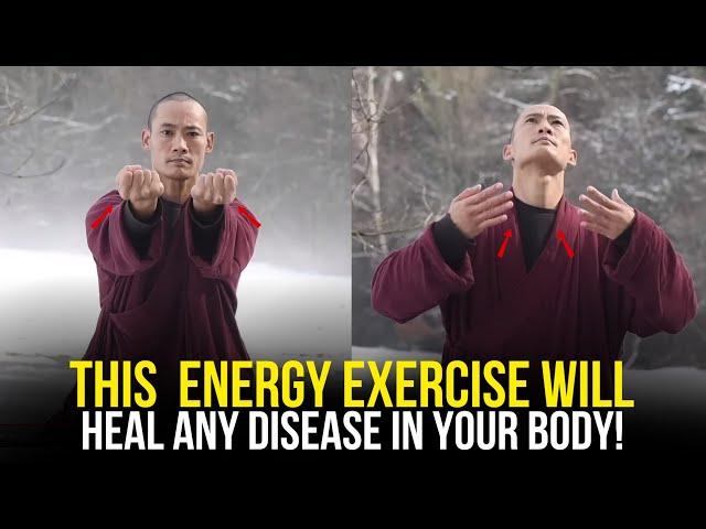 "This Exercise Will Heal You Completely From Inside" | Qigong Technique | Master Shi Heng Yi