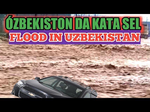 flood in uzbekistan | Приезжайте в Узбекистан |SHUKUR MIRZAEV