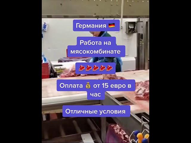 РАБОТА В ЕВРОПЕ!!!! #вакансии #вакансия #европа