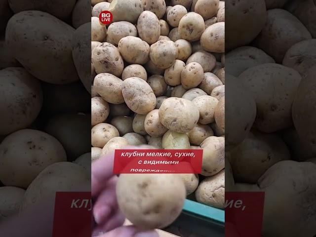 «Золотая» и испорченная: беларусы в ярости из-за цен и качества картошки