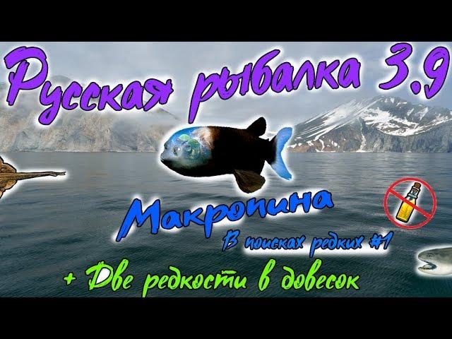 Русская рыбалка 3.9. В поисках редких #1 Макропинна