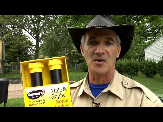 Get Rid of Moles & Gophers with Sweeney's Sonic Spikes