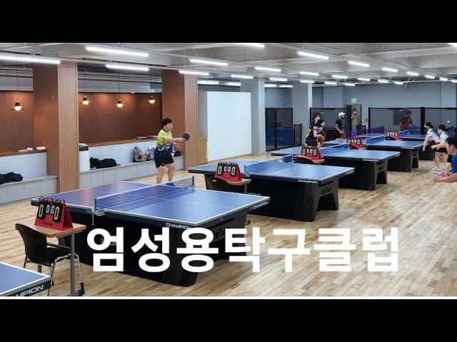 [대구핑퐁TV] 대구 엄성용탁구클럽