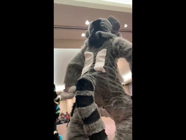 zapperr- Anthrocon 2019 dance comp tryouts ~~