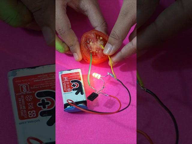 How to make hearty tomato pulp juice disco LED light science experiment