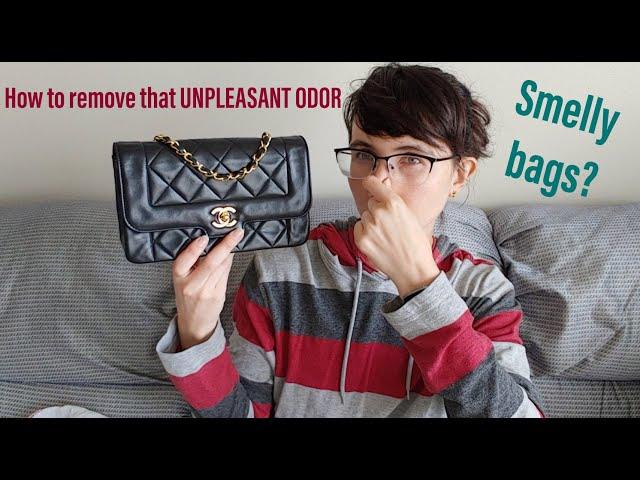 REMOVING that UNPLEASANT SMELL from your designer bag! Coach to Chanel, these methods really WORK