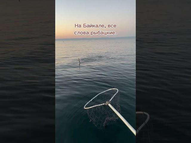 Байкал. На рыбалки все слова рыбацкие.