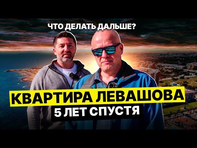 Квартира Левашова: 5 лет приключений, ремонтов и неожиданных сюрпризов!