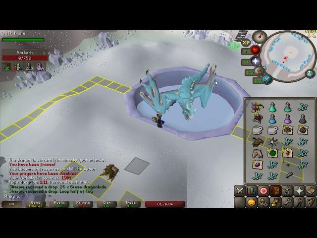 OSRS Consistent 5-7 kills a trip at Vorkath