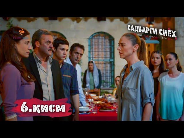 САДБАРГИ СИЁХ КИСМИ 6 ТОЧИКИ FULL HD