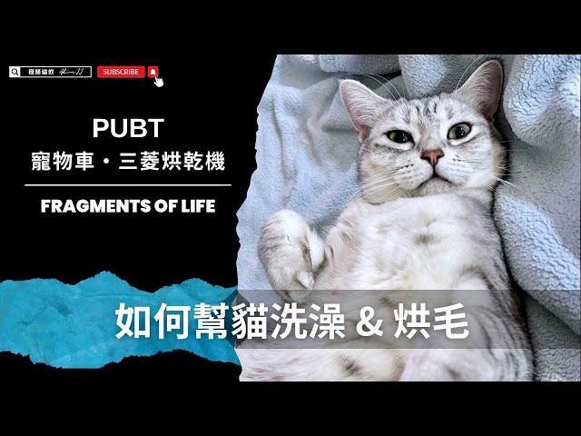 如何幫貓洗澡＆烘毛｜三菱烘被機、PUBT寵物推車 #funny #cat #pets #cute #pets #cuteanimals【AJ極簡貓奴】