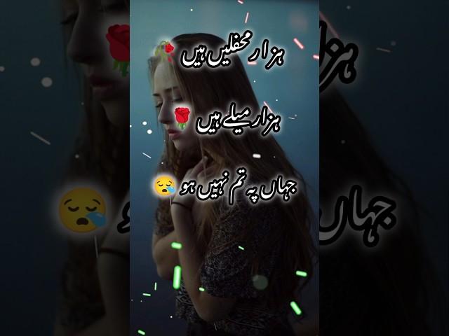 Hazar mahfil hai hazar mele Hain Jahan per Tum Nahin ho #new #shayari #trending #urdupoetry #viral