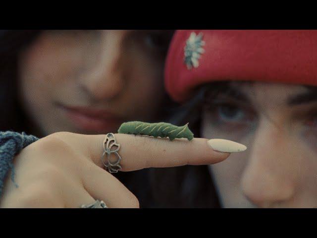 aldn, renforshort - dog eat dog (official music video)