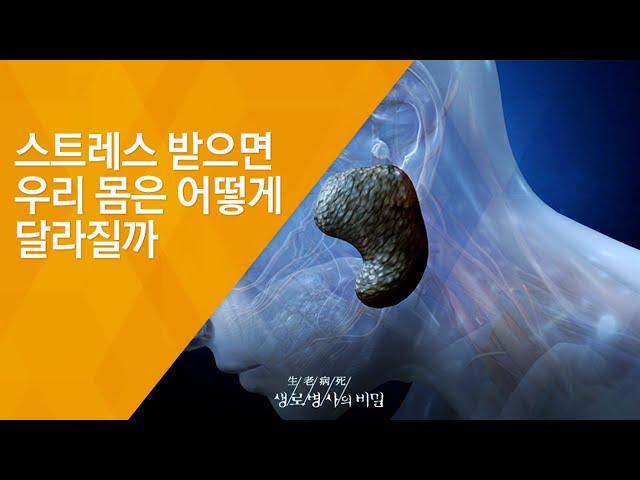 스트레스 받으면 우리 몸은 어떻게 달라질까 - (20131127_484회 방송)_치유의 힘, 2부 - 내 몸을 깨워 암을 극복한다