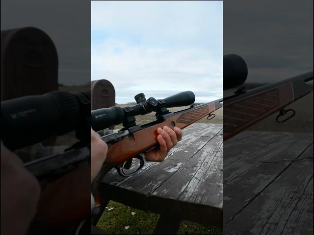 Parker Hale 30-06 with Diamondback Tactical 4-12x40