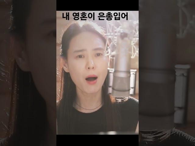 내 영혼이 은총입어#찬송가#할렐루야찬양하세#교회찬송#최보윤가곡찬송