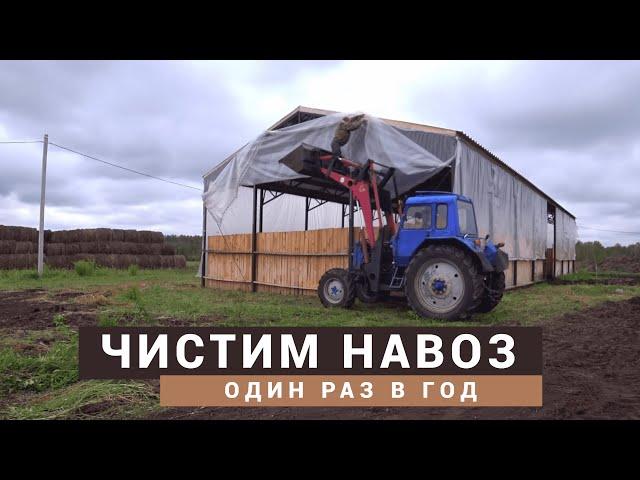 Чистим навоз трактором МТЗ-82