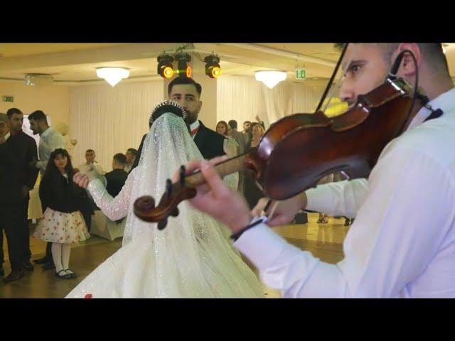 Helin - Violin by Michael Amarov (dügün, Hochzeit, wedding, dawet)