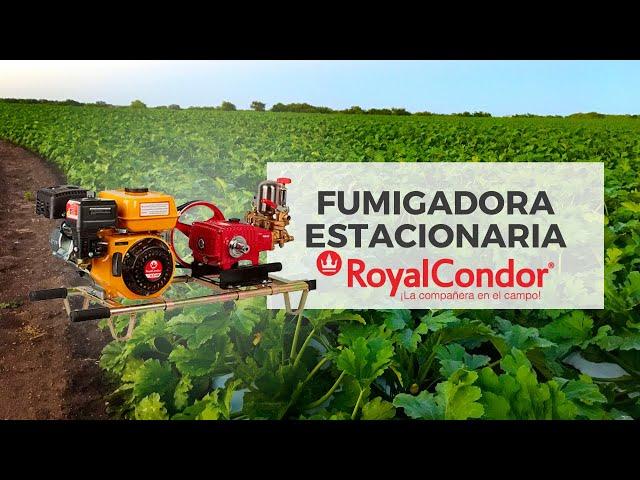 Fumigadora estacionaria Royal Cóndor | Punto Equipos