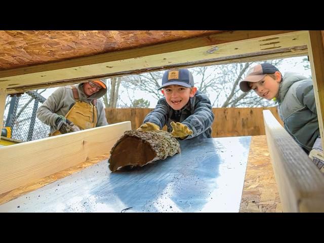 Heating My House with Black Walnut