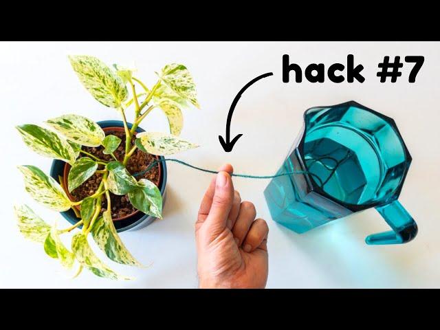 Absolute Top 20 Plant Hacks That'll Blow Your Mind