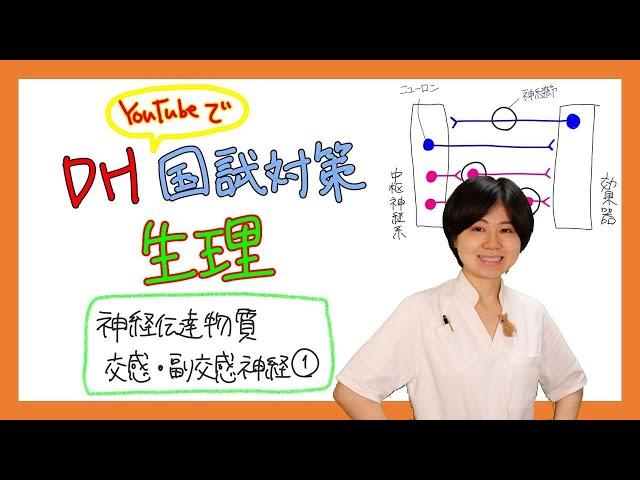 【生理】DH国試対策【2022年 No.23】【神経伝達物質、交感・副交感神経①】