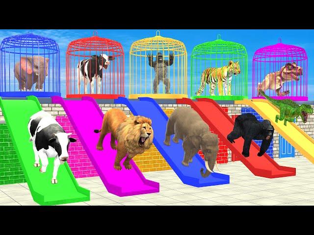 Cow Elephant Lion Gorilla Tiger T-Rex 3d Animal Long Slide Game Funny 3d Paint Animals Cage Game