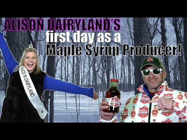 First day as a Maple Syrup maker!