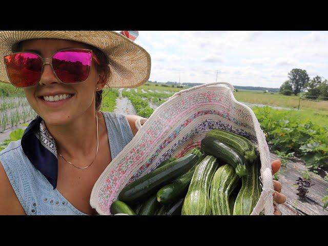 The First Big Harvest!