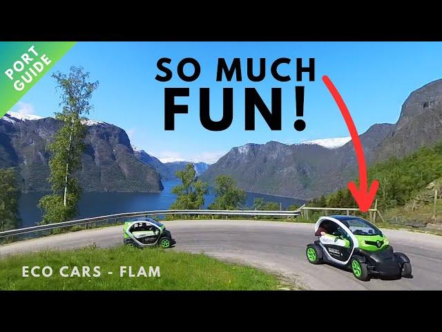 Flam Shore excursion: eMobility Flam Twizzy Eco Cars - everything you need to know