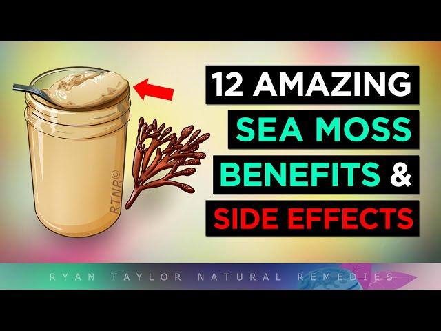 Sea Moss Gel: 12 Amazing Health Benefits & Side Effects