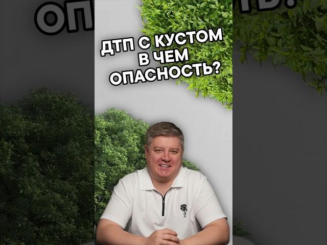 Лишение прав за ДТП с кустом! #александршумский #шумский