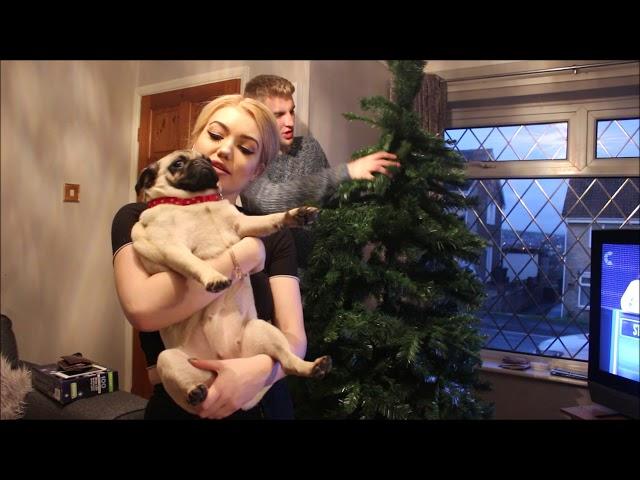 VLOG: PUTTING UP OUR CHRISTMAS TREE IN OUR FIRST HOME!