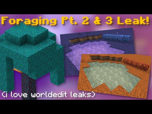 Galatea Islands 2 & 3 Visuals & Names Leaked! (Hypixel Skyblock News!)