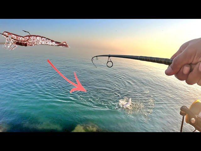 Jetty Fishing with a D.O.A shrimp* Quick limits!!  (Catch and Cook)