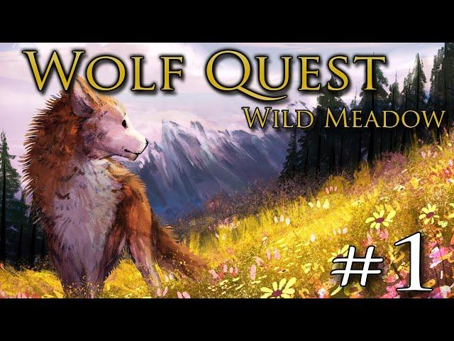 A Wild MEADOW of the Wolves!!  WOLF QUEST: WILD MEADOW • #1