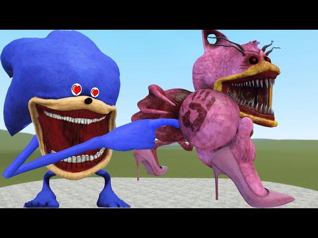 New Shin Sonic Tapes Love Story Cursed Amy Tapes Vs Sonic Tapes Sad Story in Garry's Mod