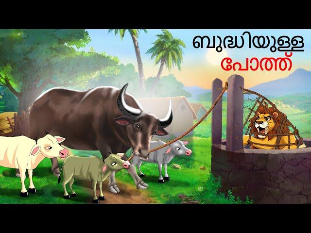 Malayalam Stories | ബുദ്ധിയുള്ള പോത്ത് | Malayalam Story | Stories in Malayalam